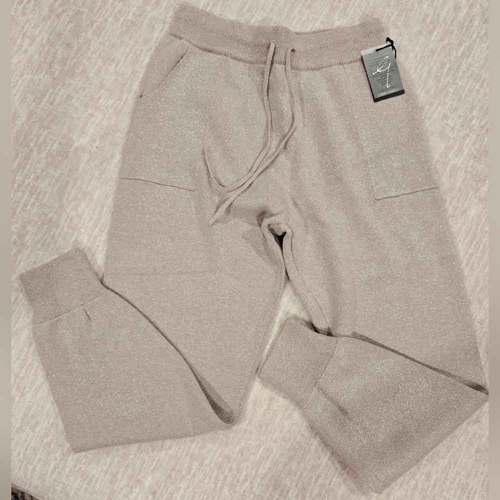 NWT Gabby Isabella silver sparkle sweater pants